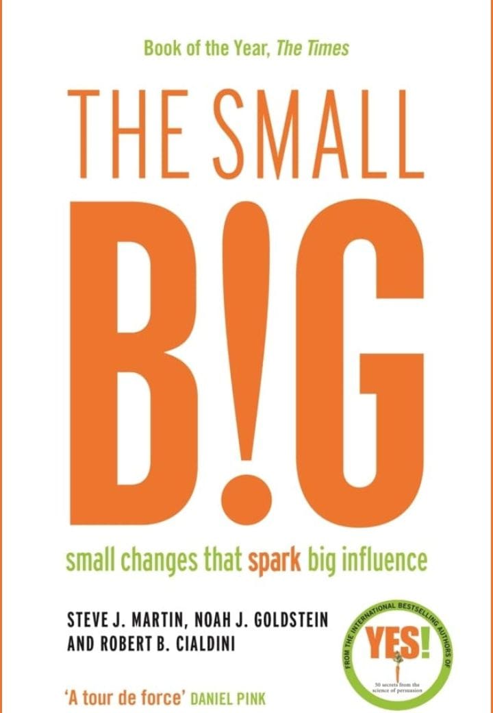 The Big Small The Big Small
