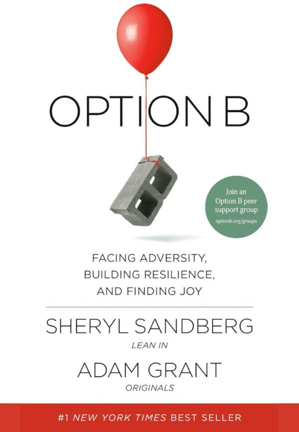 Option B - Facing Adversity, Building Resilience, and Finding Joy - Waisa